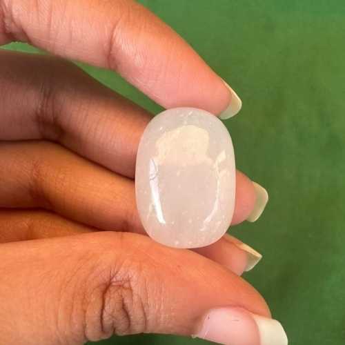 Untitled design (30)