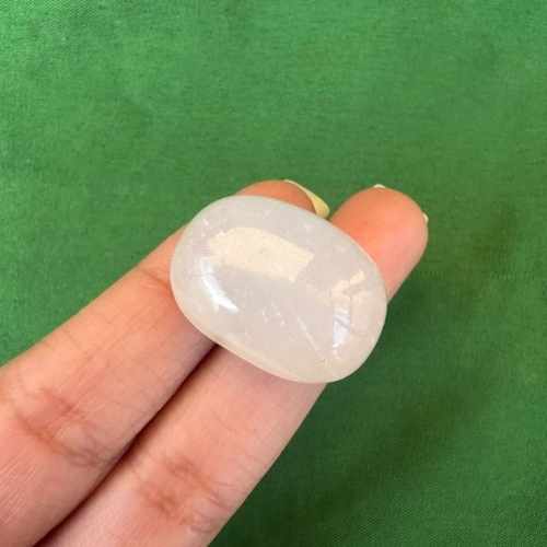 Untitled design (31)